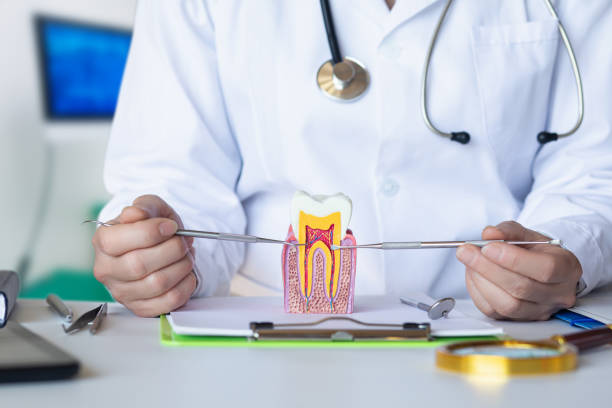Best Emergency Treatment for Dental Infections or Abscesses in Ishpeng, MI
